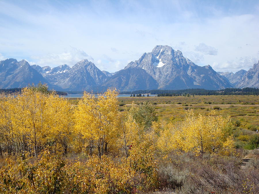 Autumn in the Tetons Photograph by Susan Woodward