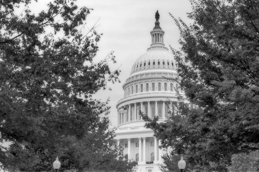 Washington D.c. Photograph - Autumn In The US Capitol BW by Susan Candelario