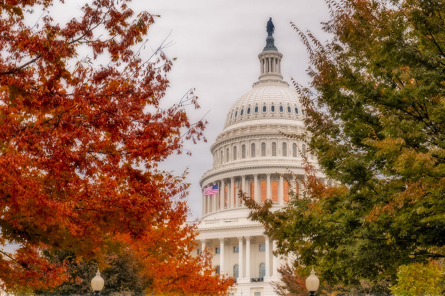 Autumn In The US Capitol Photograph by Susan Candelario