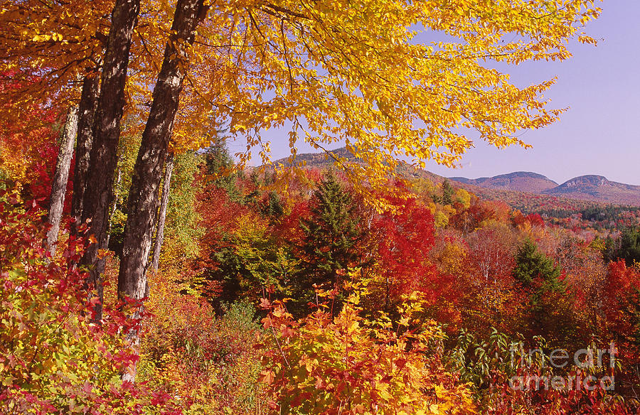 Autumn In The White Mountains, Nh Photograph by George Ranalli