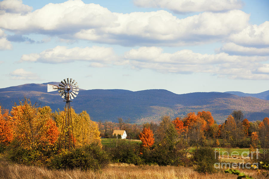 Tree Photograph - Autumn in Vermont by Jan Tyler