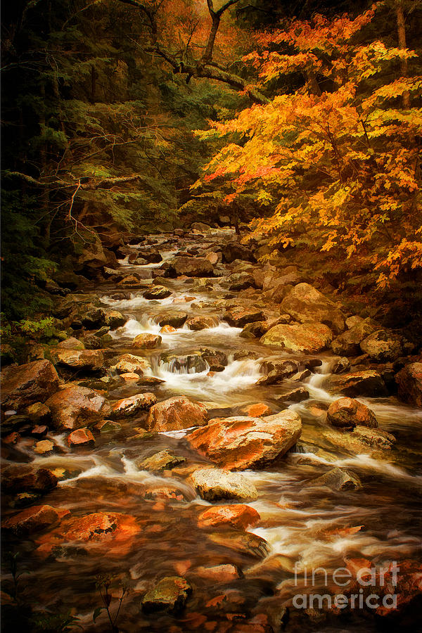 Autumn in Vermont Photograph by Priscilla Burgers