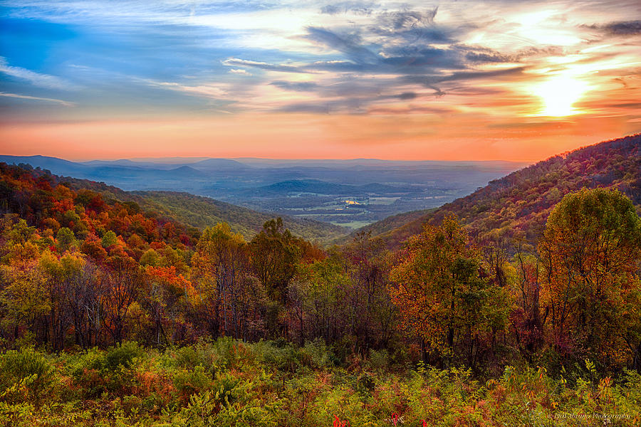 Shenandoah National Park Photograph - Autumn In Virginia by Phil Abrams