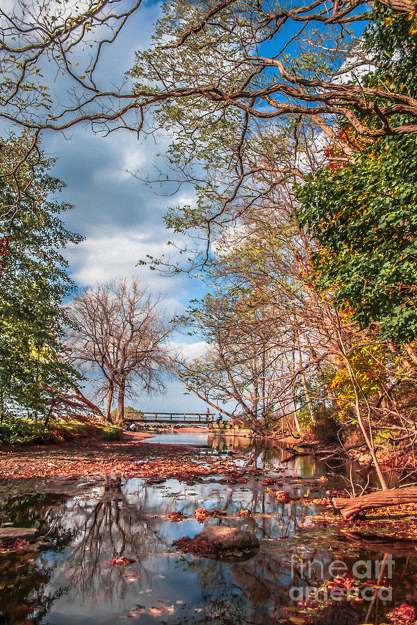 Fall Photograph - Autumn in Webster Park by Ken Marsh