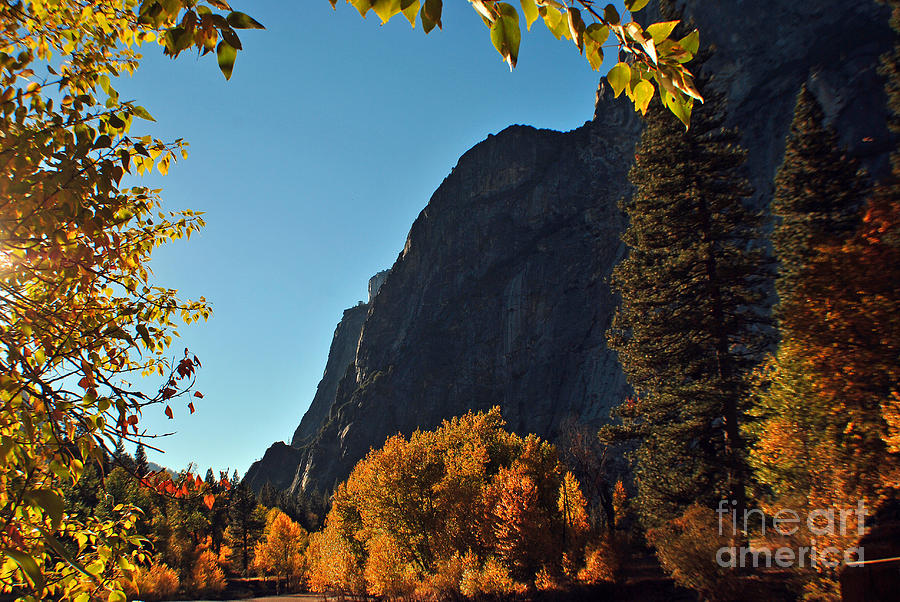 Autumn in Yosemite Photograph by Frank Larkin