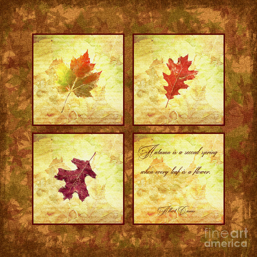 Autumn Is A Second Spring Digital Art by Olga Hamilton