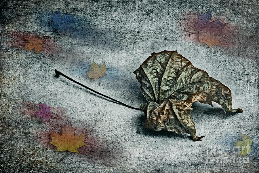 Autumn Is around the Corner Photograph by Jutta Maria Pusl