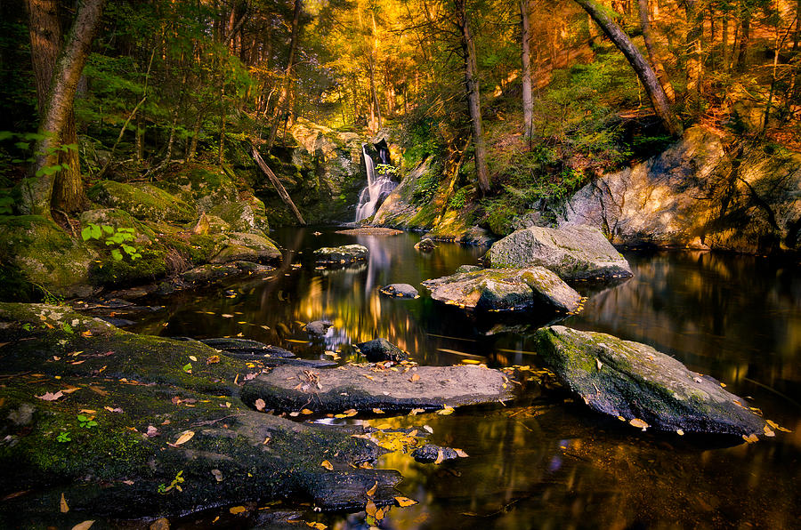 Landscape Photograph - Autumn is Calling by Craig Szymanski