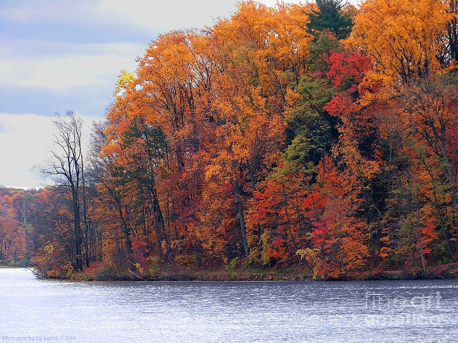 Fall Photograph - Autumn is Upon Us by Gena Weiser