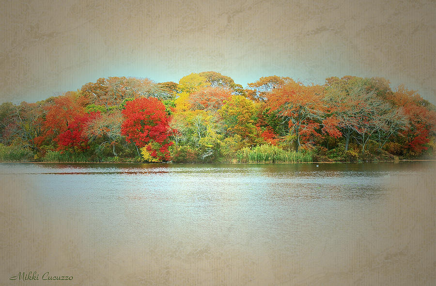 Autumn Island in the lake Photograph by Mikki Cucuzzo