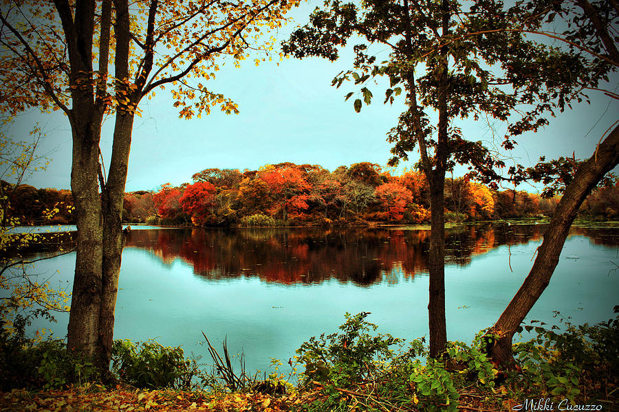 Autumn Island Photograph by Mikki Cucuzzo