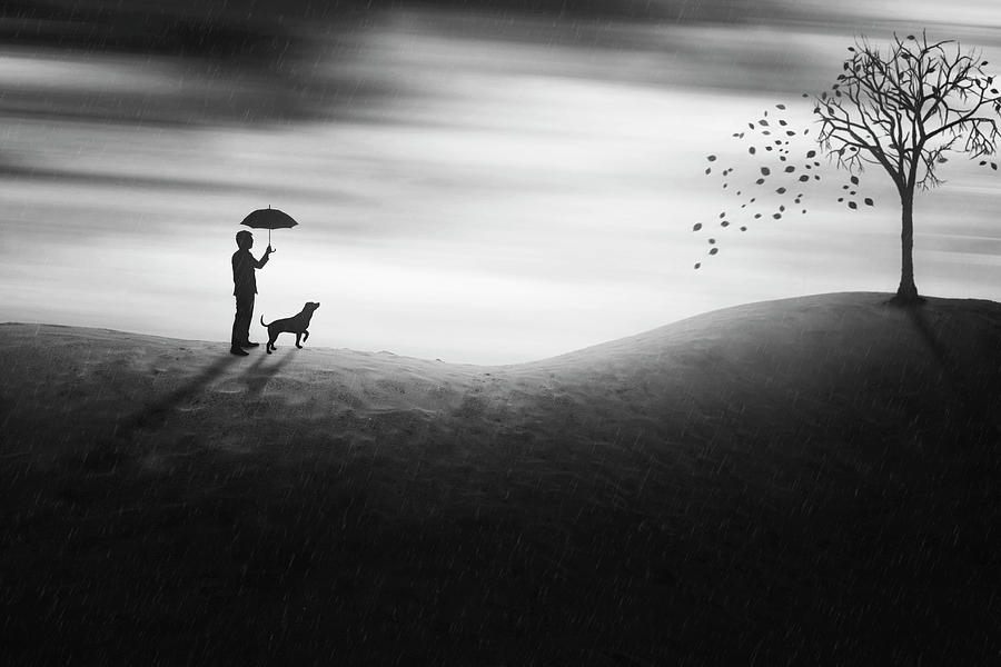 Black And White Photograph - Autumn by Ivan Marlianto