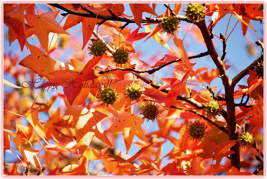 Macro Photograph - Autumn Jewels by Sonali Gangane