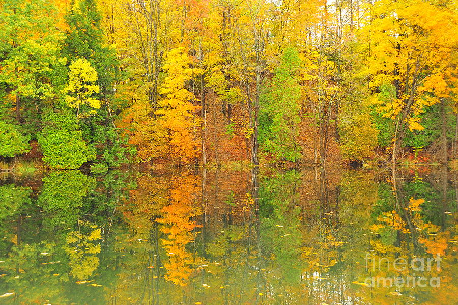 Autumn Reflection Photograph by Terri Gostola