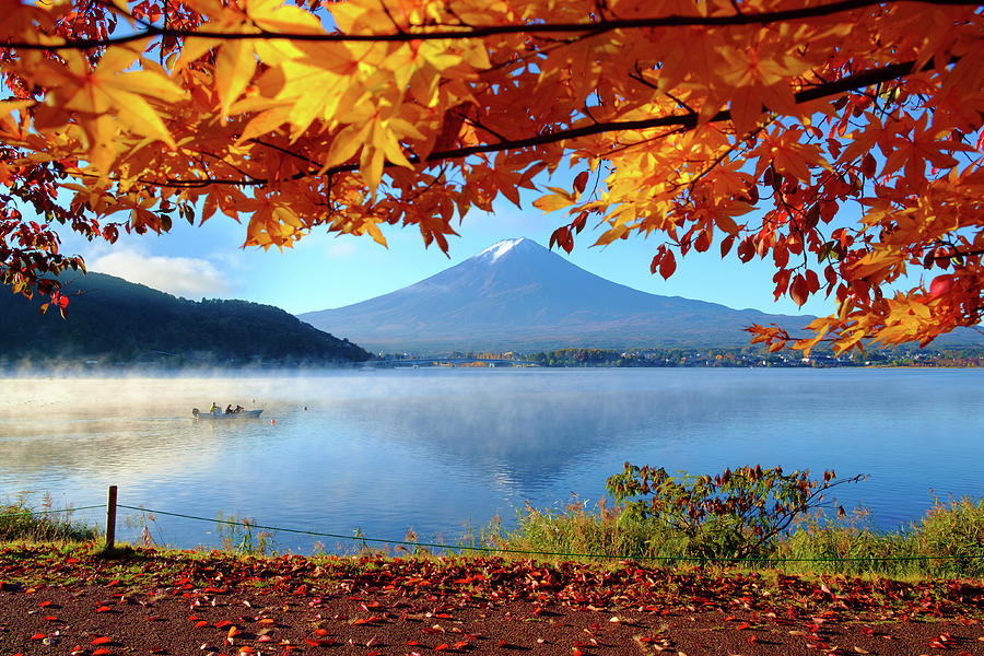 Autumn Kawaguchiko Lake And Mt.fuji by Dewpixs Photography