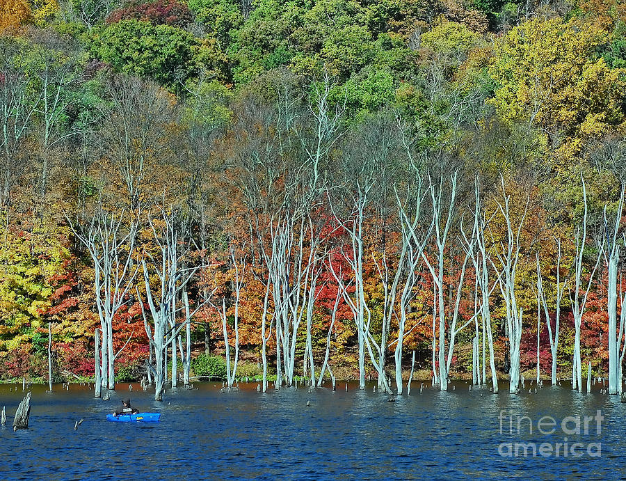 Autumn Kayak 2 Photograph by Allen Beatty