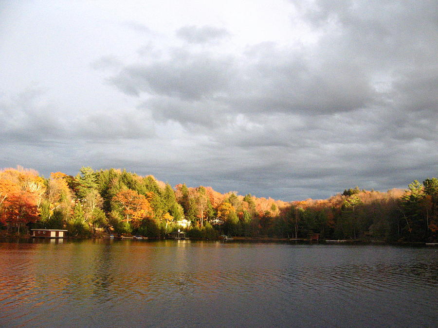 Autumn Lake Photograph by Alfred Ng