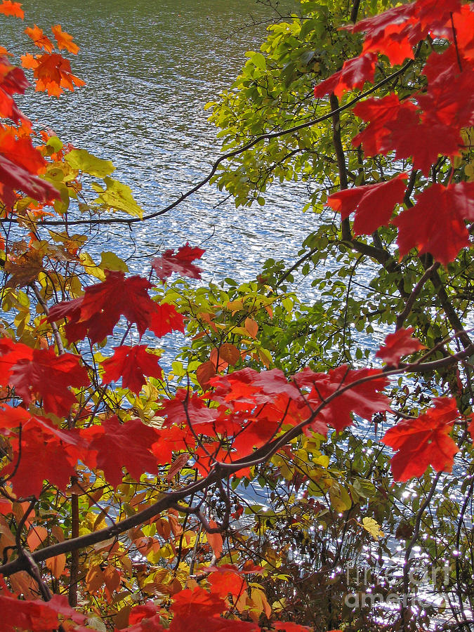 Fall Photograph - Autumn Lake by Ann Horn