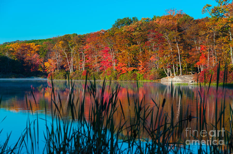 Fall Photograph - Autumn Lake by Anthony Sacco