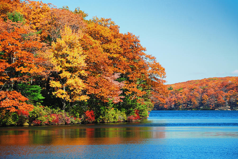 Autumn lake foliage Photograph by Songquan Deng