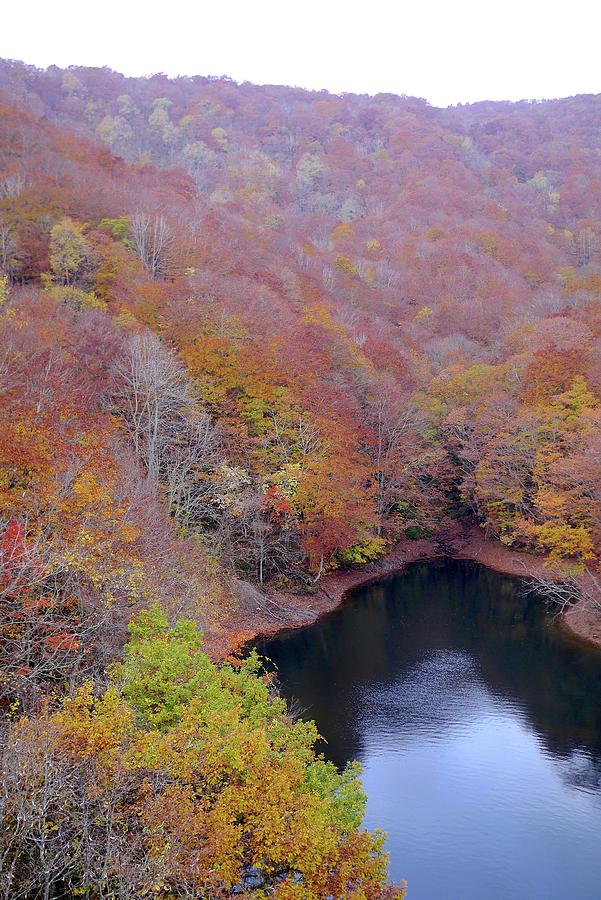 Autumn Lake Photograph by Jun Okada