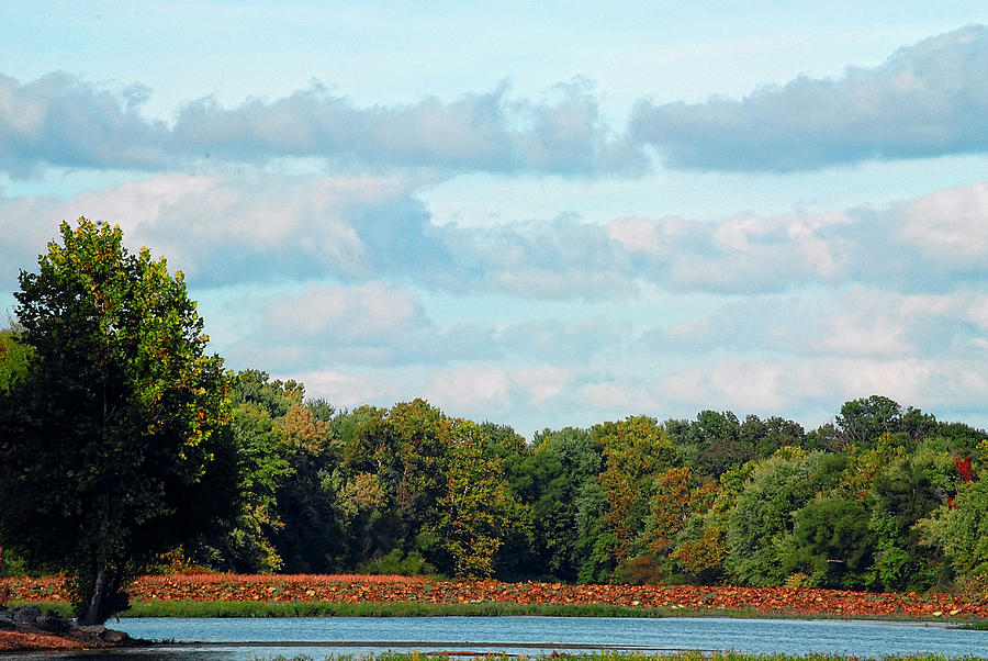 Autumn Lake Photograph by Lena Wilhite