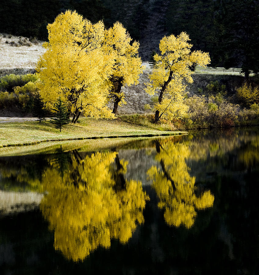 Fall Photograph - Autumn Lake Reflection by Patrick Derickson