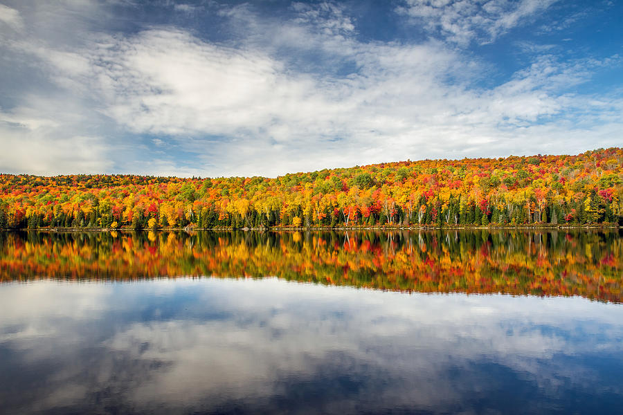 Autumn Lake Reflection Photograph by Pierre Leclerc Photography