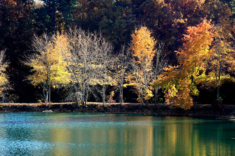 Autumn Lake Reflections Photograph by Lesa Fine