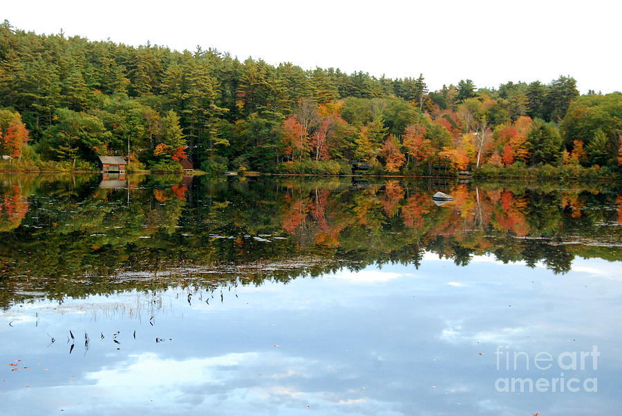 Autumn Lakeside Photograph by Eunice Miller