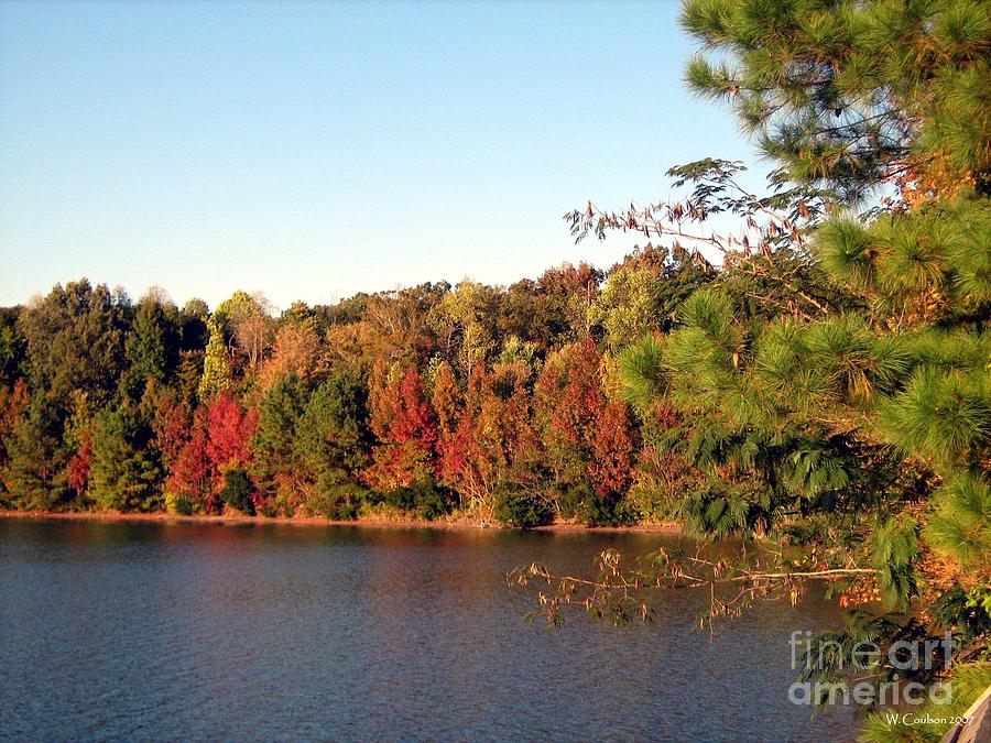 Autumn Lakeside Photograph by Wendy Coulson