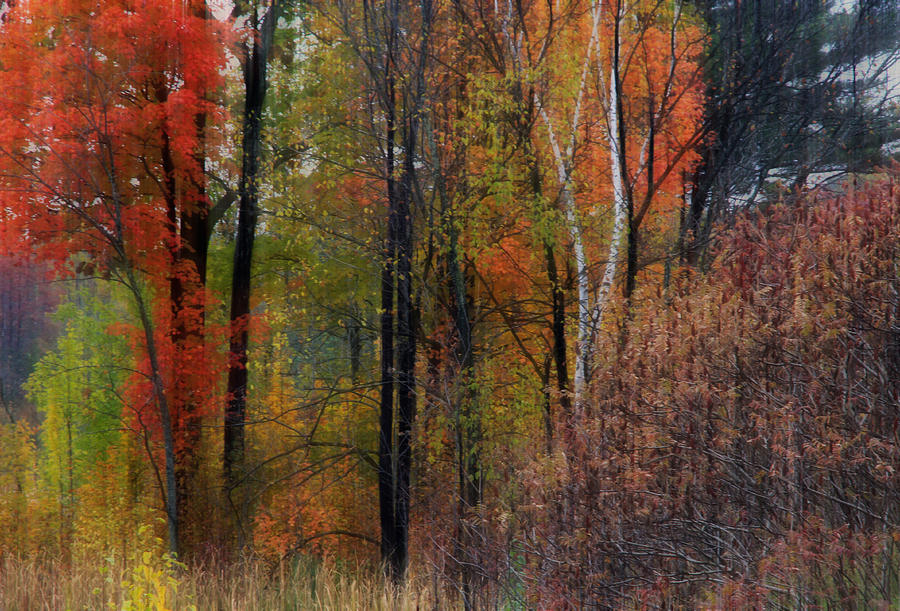 Autumn Landscape 21 Photograph by Jim Vance