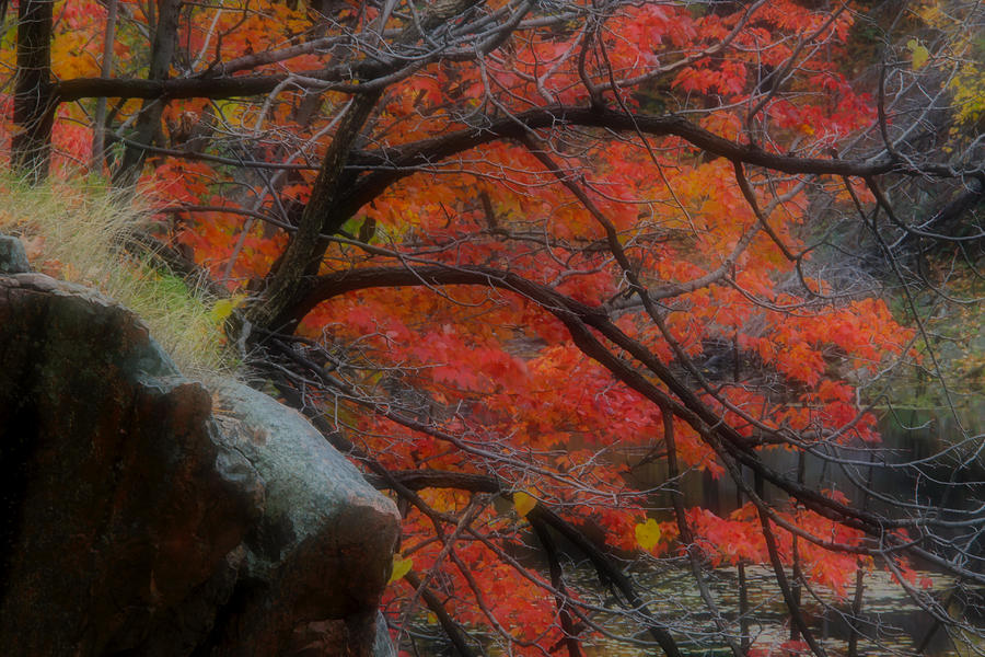 Autumn Landscape 27 Photograph by Jim Vance