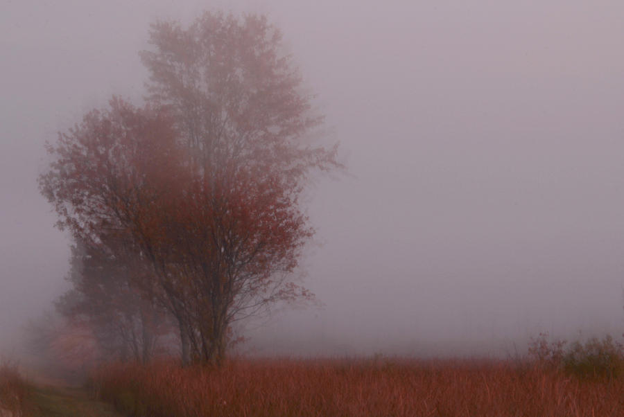 Autumn Landscape 6 Photograph by Jim Vance