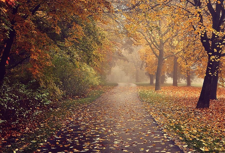 Autumn Landscape Photograph by Kind