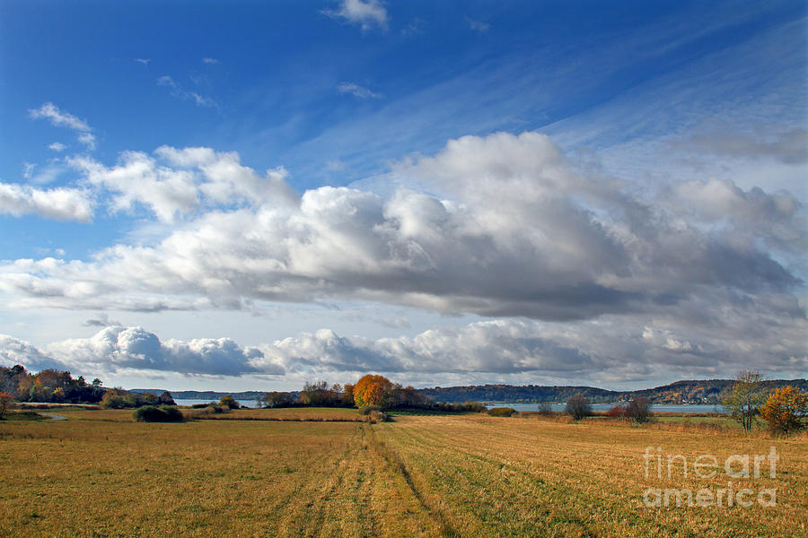 Autumn Landscape Photograph by Lutz Baar