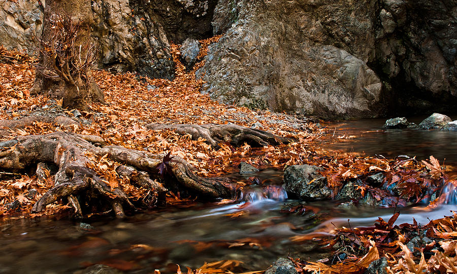 Autumn landscape Photograph by Michalakis Ppalis
