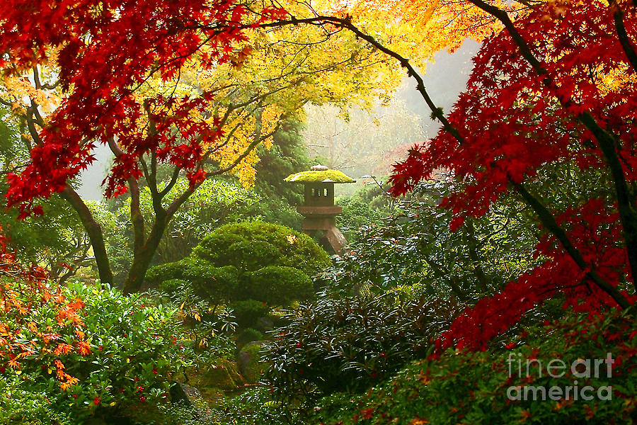 Landscape Photograph - Autumn Landscape Scene at the Japanese Gardens by Debra Orlean