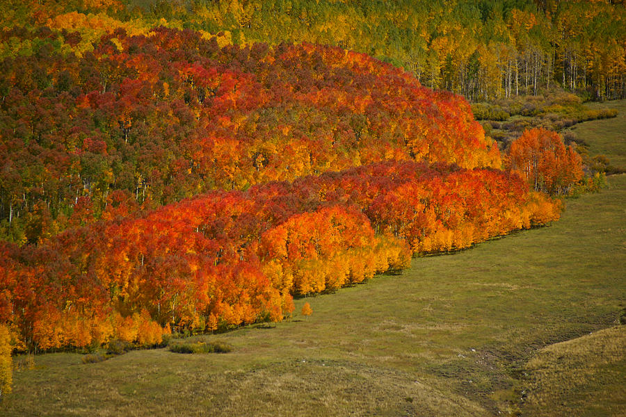 Autumn Lava Flow Photograph by Jeremy Rhoades