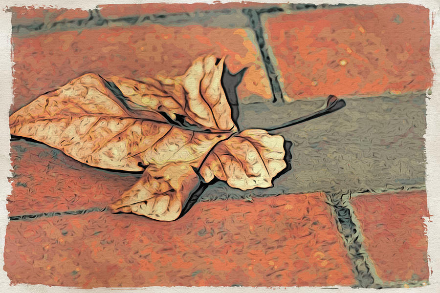 Autumn Leaf Photograph by Alice Gipson