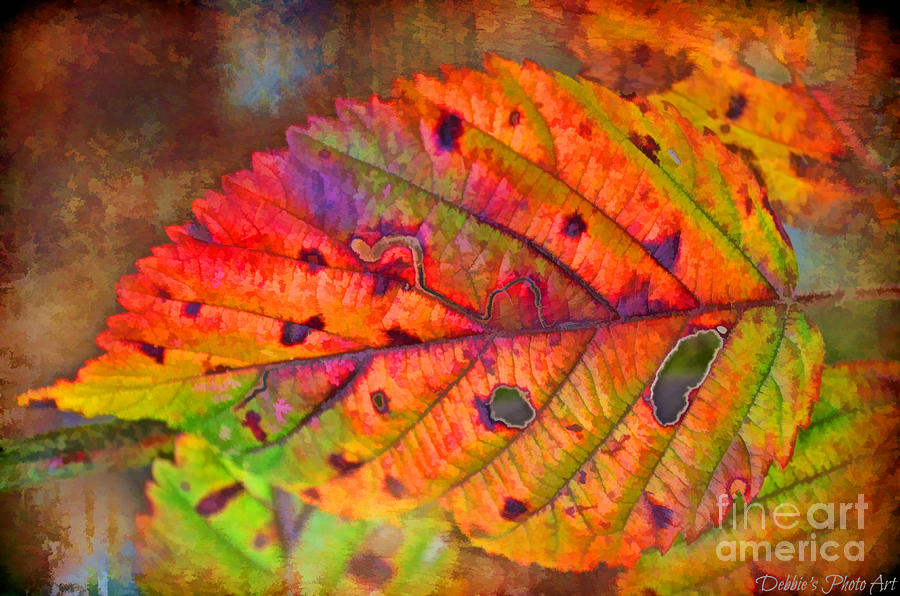 Autumn Leaf I - Digital Paint Photograph by Debbie Portwood