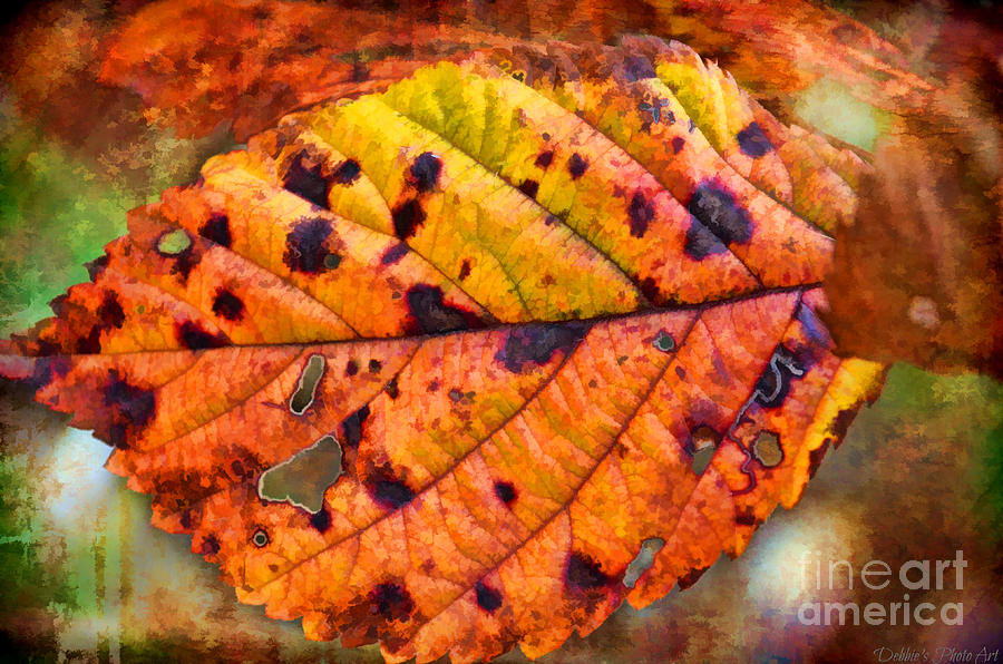 Autumn Leaf II - Digital Paint Photograph by Debbie Portwood
