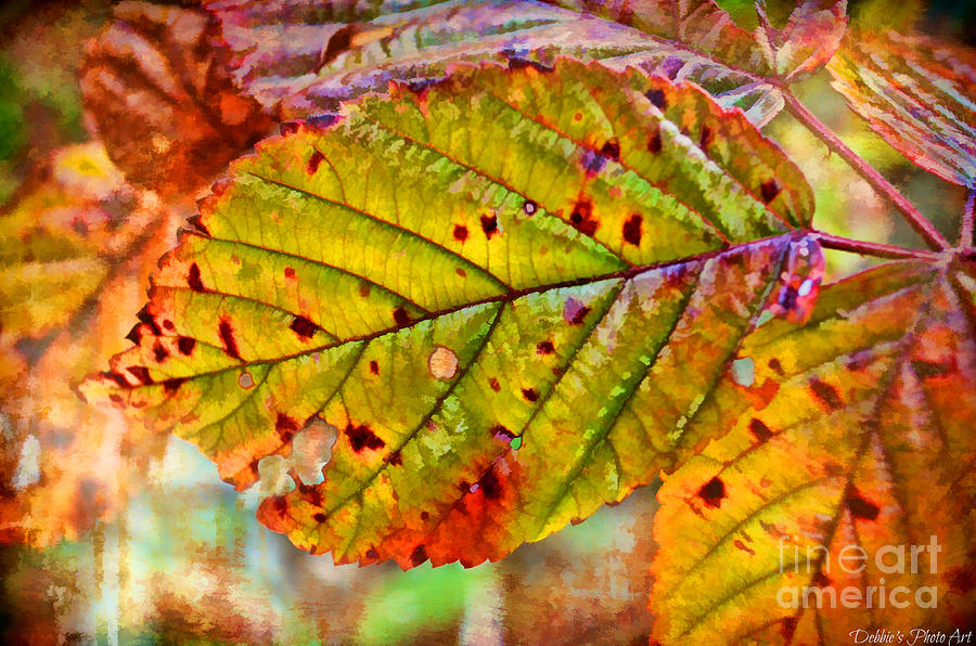 Autumn Leaf III - Digital Paint Photograph by Debbie Portwood