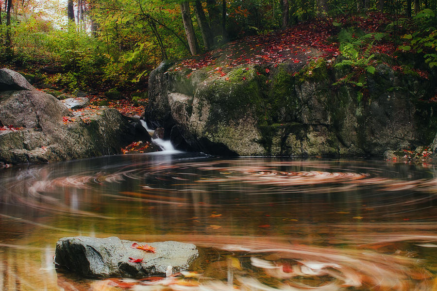 Autumn Leaf Trails Photograph by John Vose