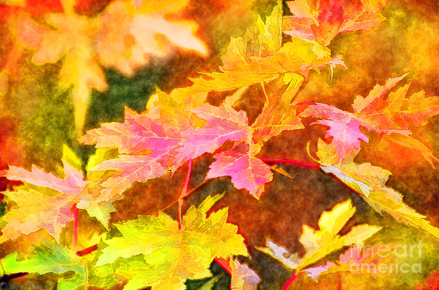 Autumn Leaves - Digital Paint II Photograph by Debbie Portwood