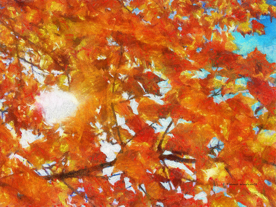 Autumn Leaves 02 Photo Art Photograph by Thomas Woolworth