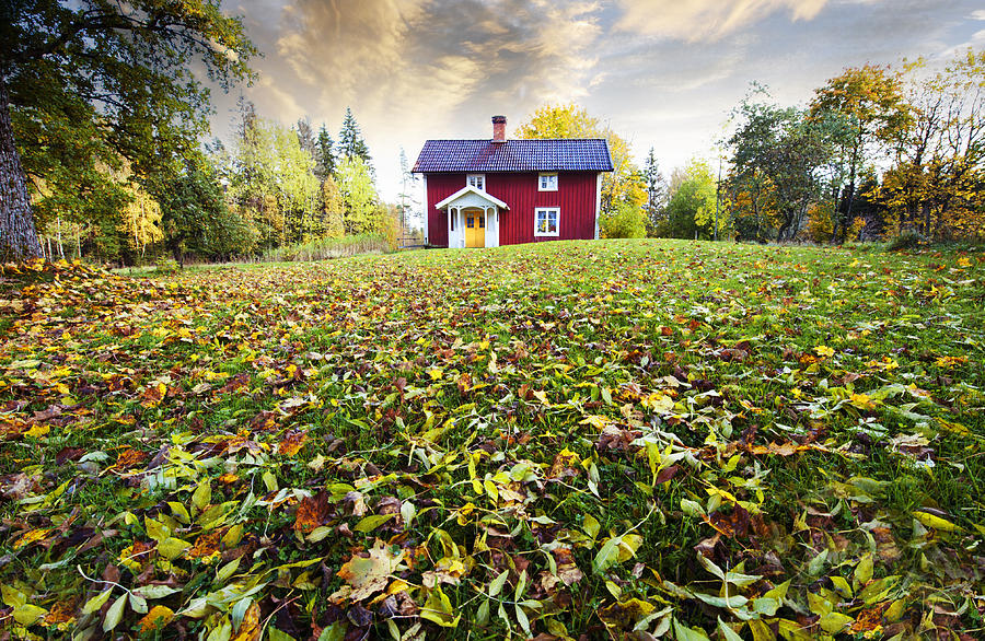 Fall Photograph - Autumn Leaves And Colors In Old Rural Nature by Christian Lagereek