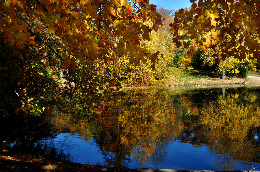 Autumn Leaves and lake Photograph by Diane Lent