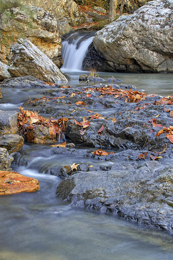 Autumn Leaves at Little Missouri Falls - Arkansas - Waterfall Photograph by Jason Politte