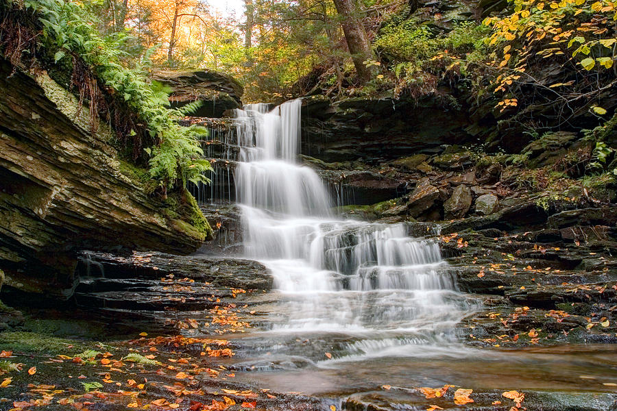 Fall Photograph - Autumn Leaves Below the Nameless Hidden Waterfall by Gene Walls